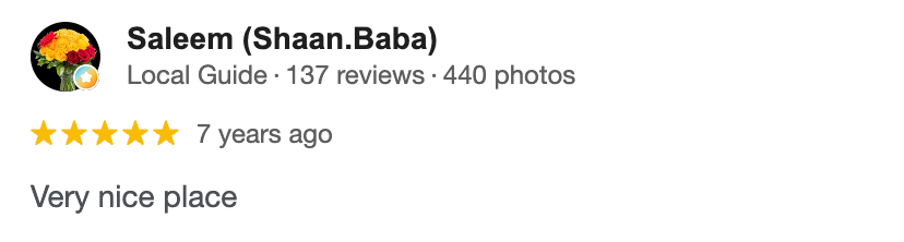 Google review by Saleem